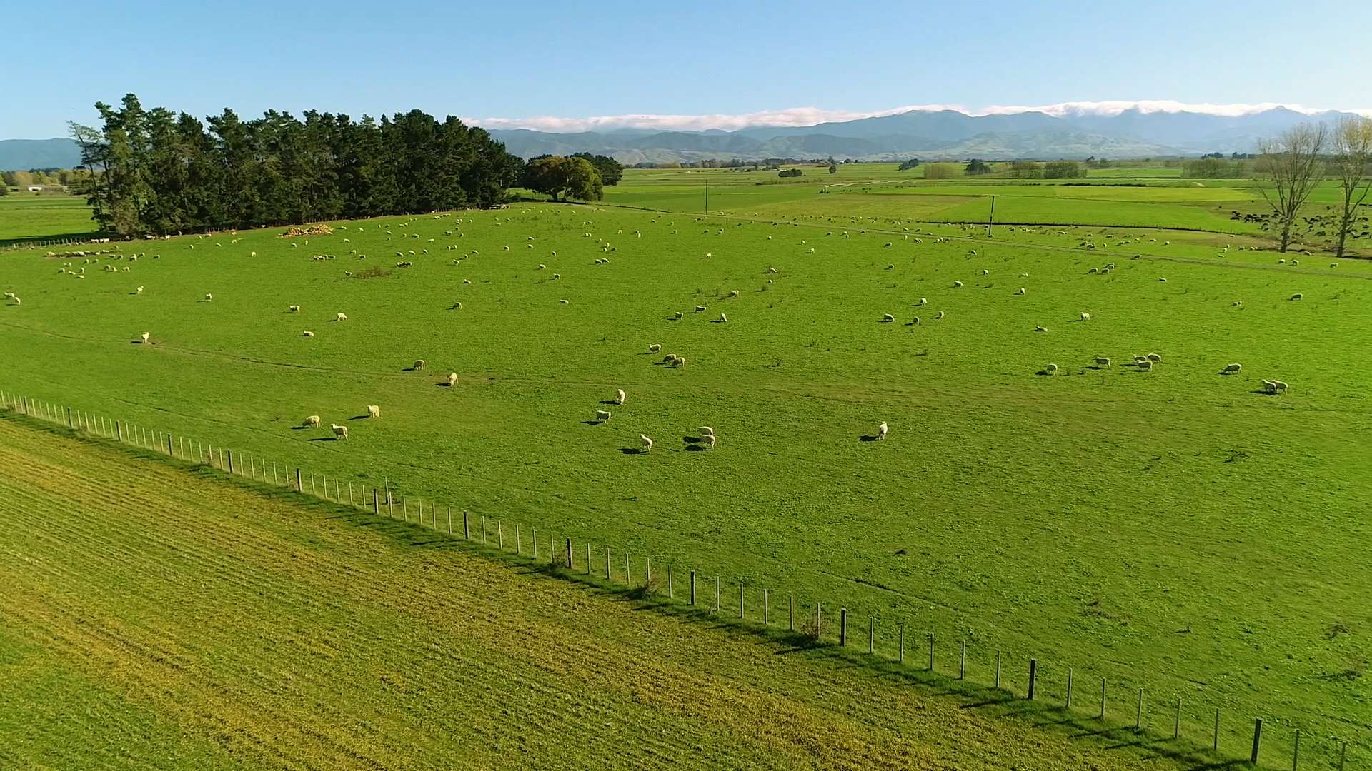 575 East Taratahi Road Carterton_0