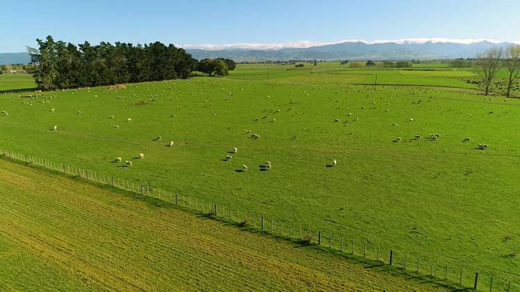 575 East Taratahi Road Carterton_0