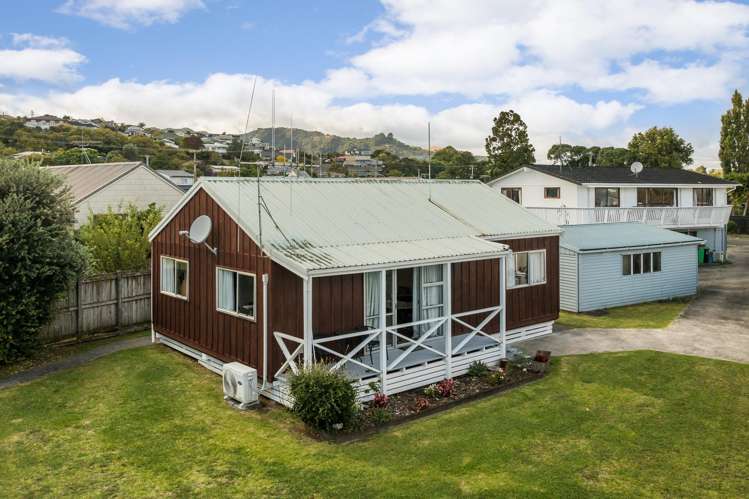 104a Lowe Avenue Thames_18