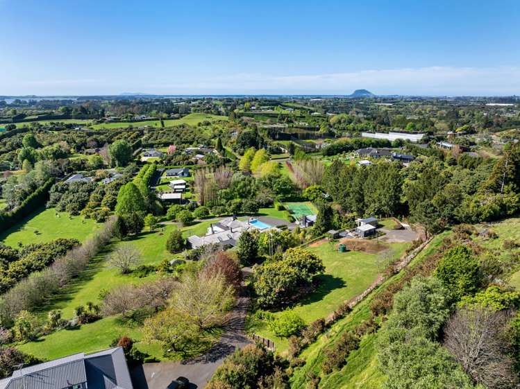 154B Munro Road Te Puna_6