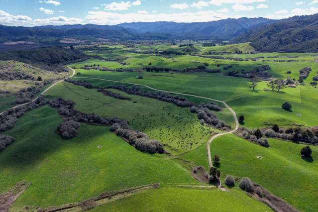 Lot 1/283 Minginui Road Galatea_4