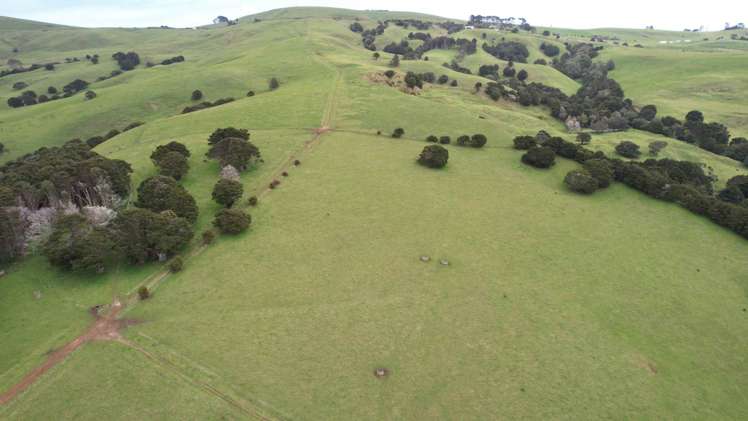 4283 State Highway 12 Dargaville Surrounds_3