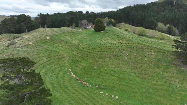 2164 Te Mai Road Tinui Valley_11