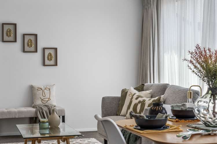 3/6 Page Place Hamilton East_1