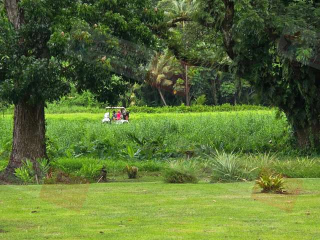 Address withheld Pacific Harbour_2