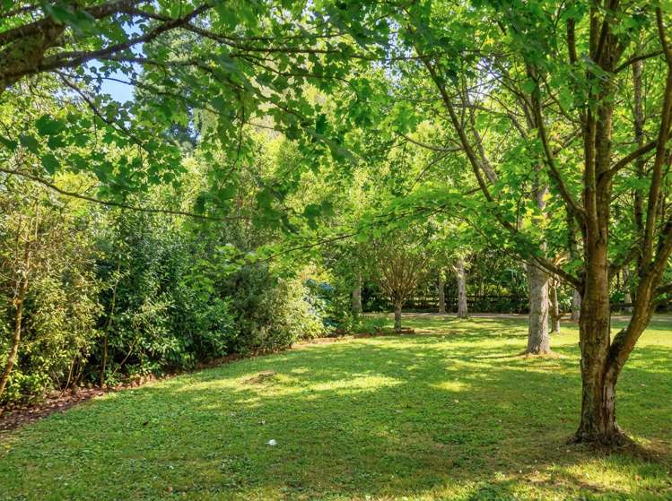 7 Homestead Lane Greytown_28