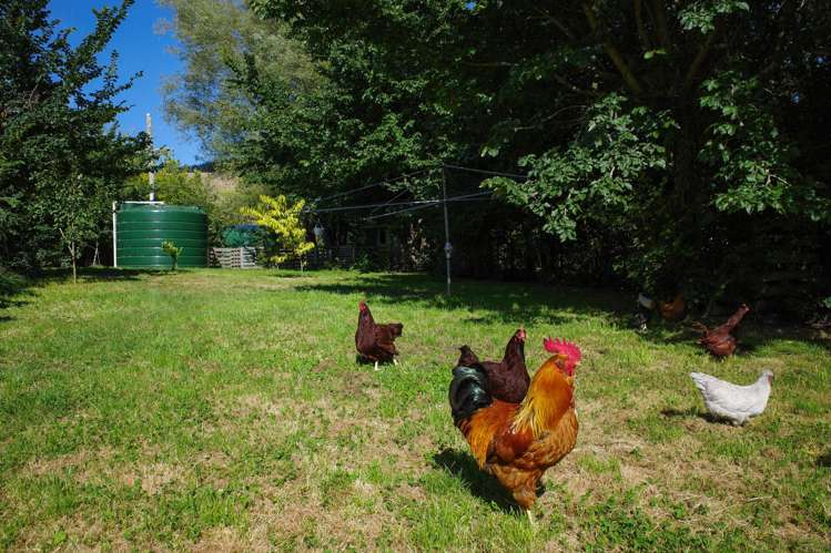 3345 Weber Road Dannevirke_26