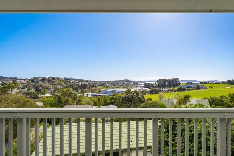 12 Delshaw Avenue Stanmore Bay_4