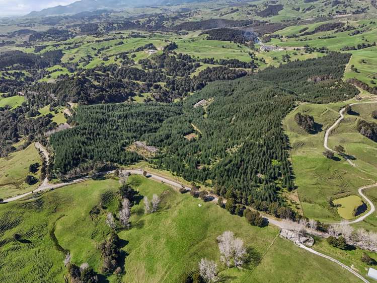 Hoyle Road and Wainui Road Arapohue_4