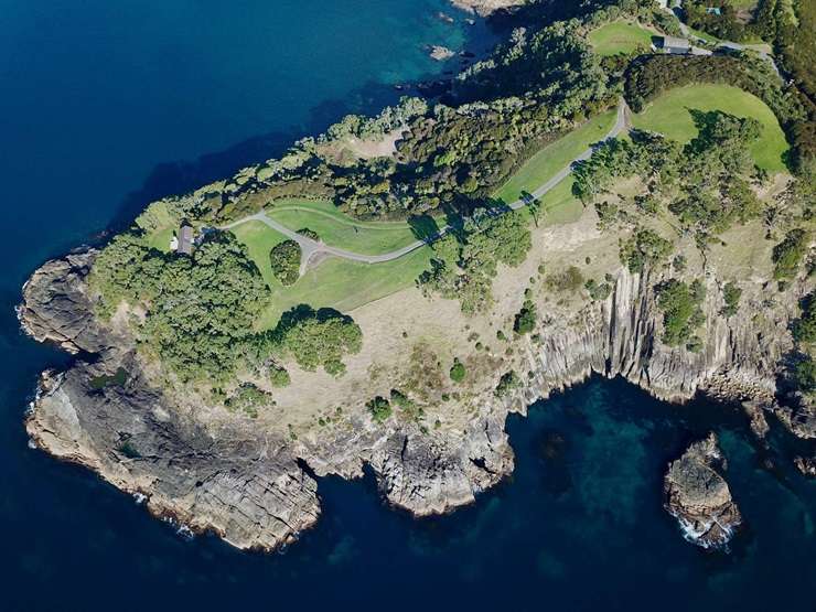 Kauri Mountain Point is seeking a buyer with over $6 million to invest. Photo / Supplied