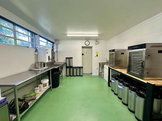 37-39 Crummer Road Grey Lynn_3