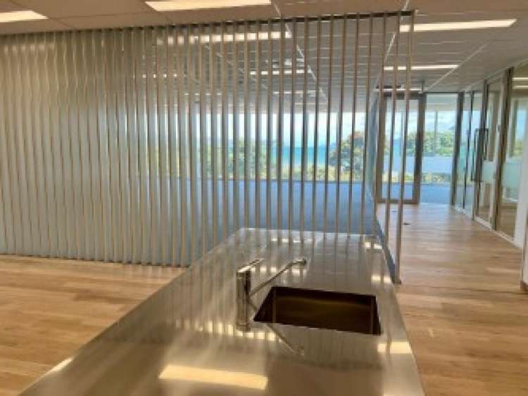 81 The Esplanade Petone_1