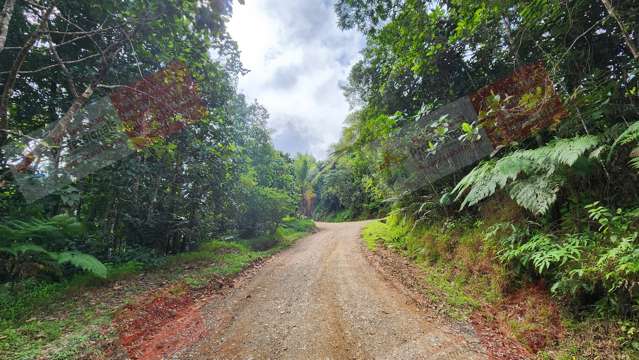 OWNER SAYS “LET’S GET IT SOLD” – FREEHOLD RESIDENTIAL LAND ON FIJI’S MAIN ISLAND AVAILABLE NOW!