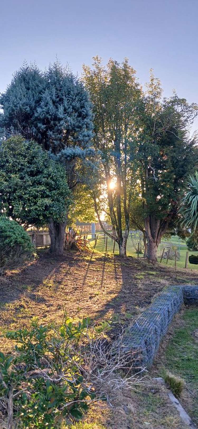 316 Miro Street Manunui_15