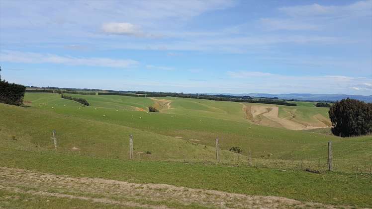 161 Roulston Road Balclutha_17