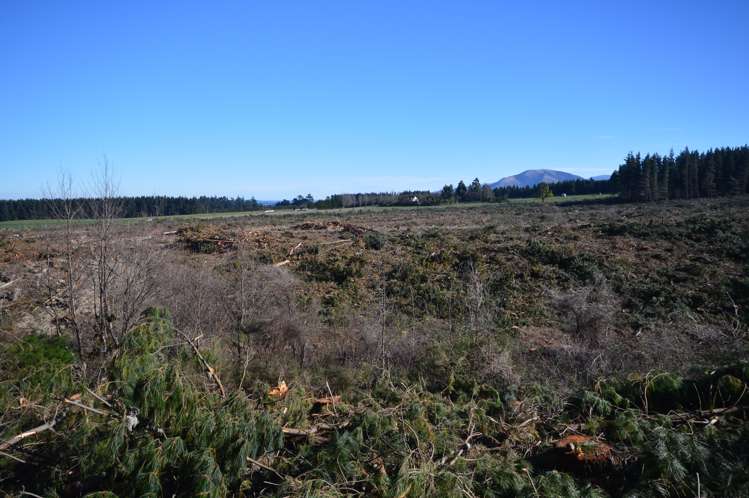 423 Hayland Road Okuku_10