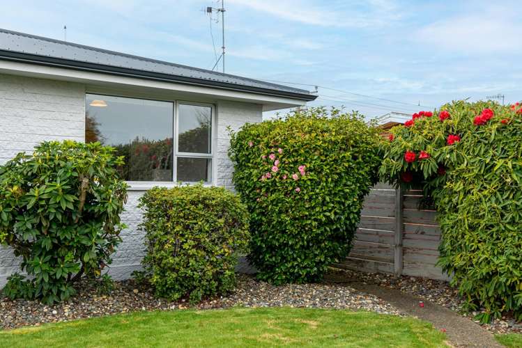 158 Racecourse Road Glengarry_22