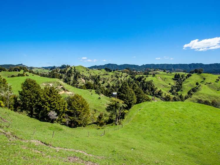 667 Stanley Road Wainui_6