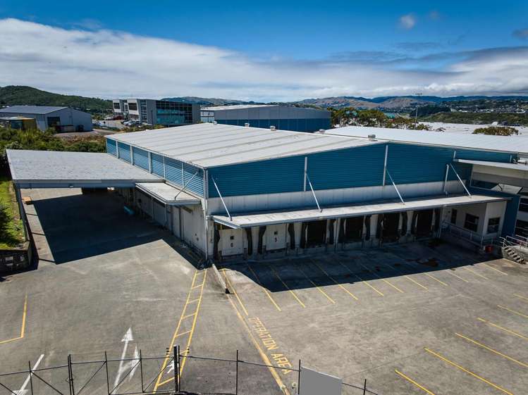 9-11 Matiu Close Elsdon_2