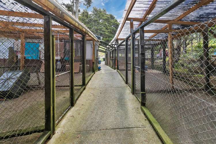 181 Great North Road Kamo_13