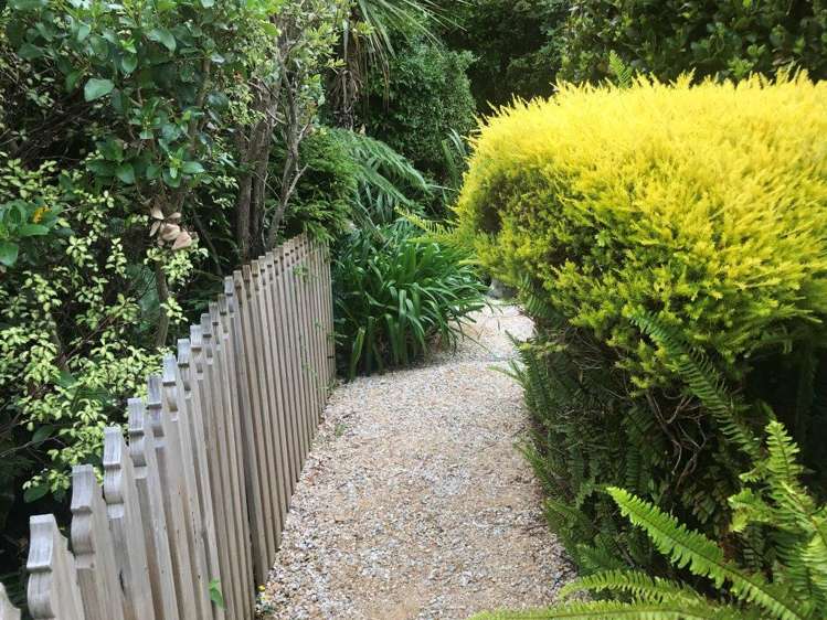 25 Gibbs Road Collingwood_17