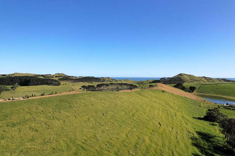 Rehutai Road Baylys Beach_4