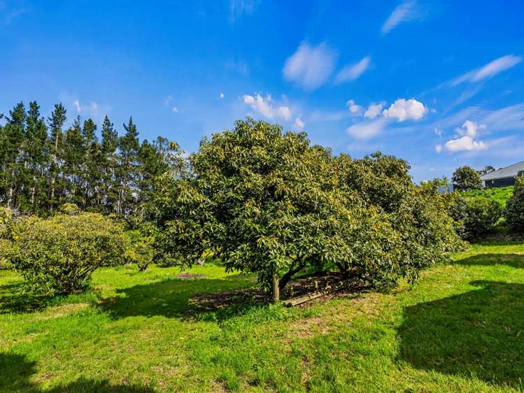 20 McLaren Falls Road Lower Kaimai_25