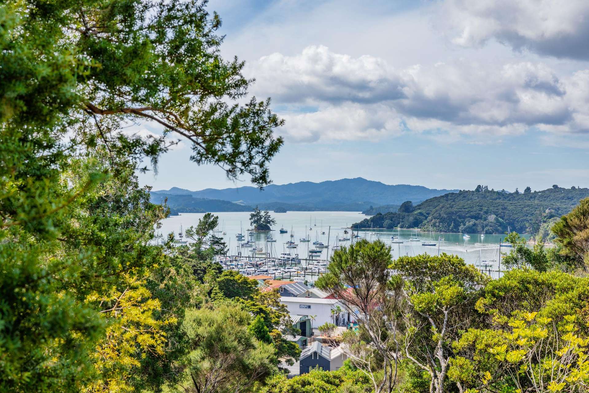 2B Lyon Street Opua_0