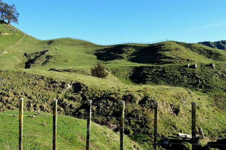 716 Ongarue Back Road Taumarunui_37