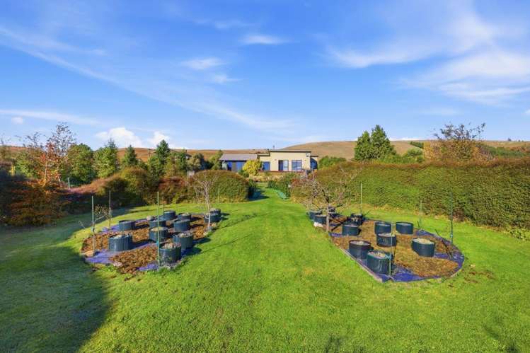 38 Princes Street Waikari_21