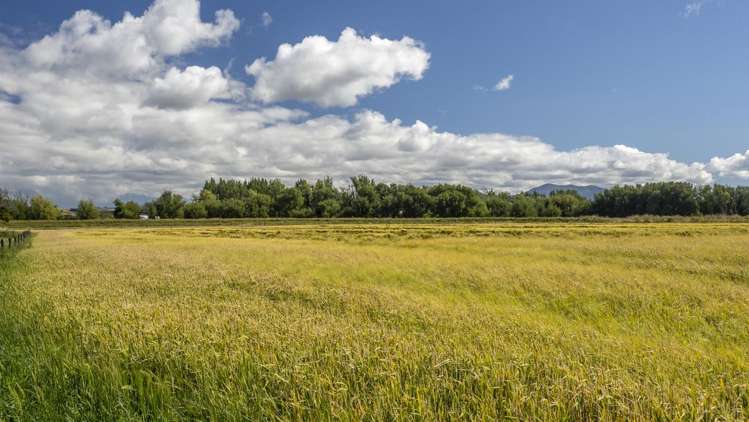 167 Ponatahi Road Martinborough_14