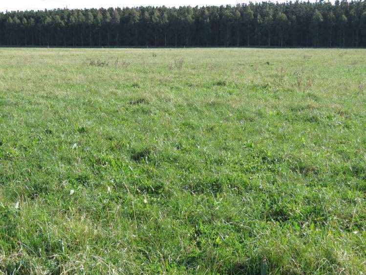 1035 Newland Road Clandeboye_13