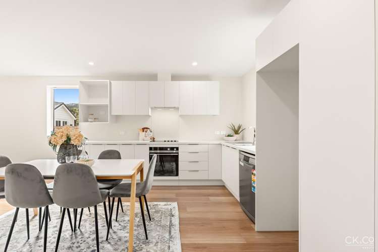 55 Britannia Street Petone_9