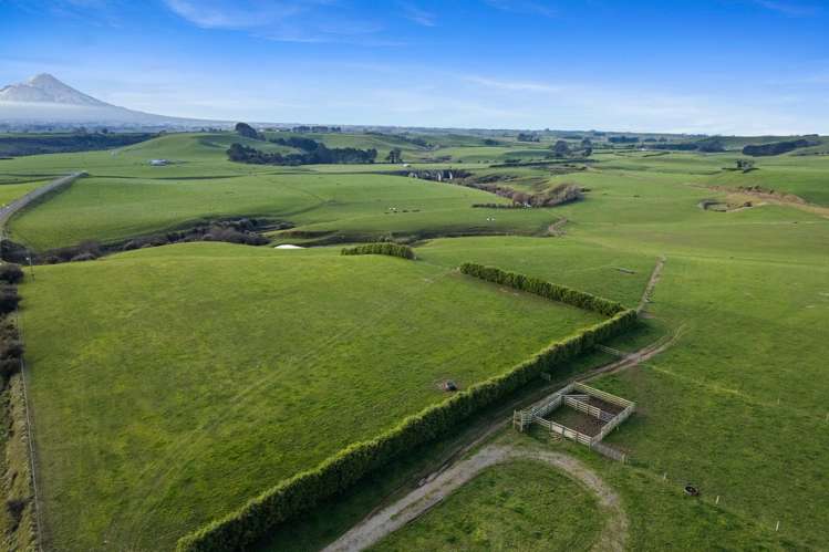 0n Skeet Road Te Roti_2