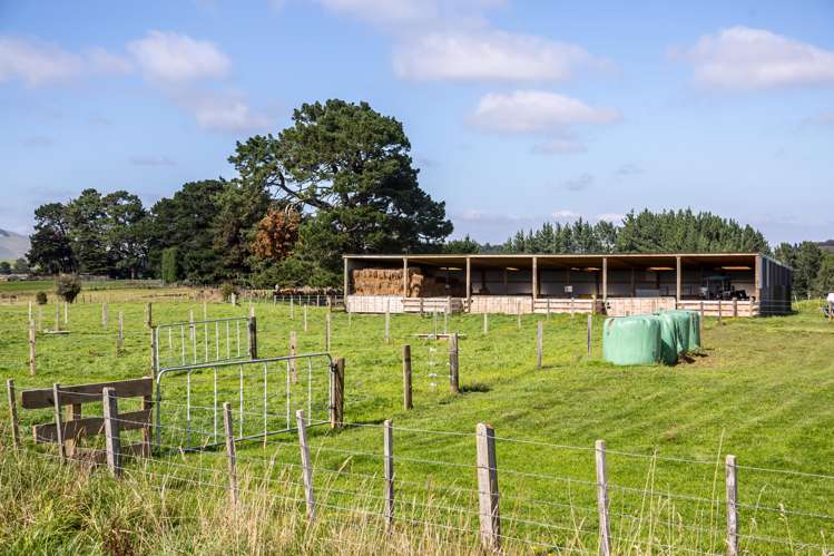 200 Garfield Road Norsewood_7