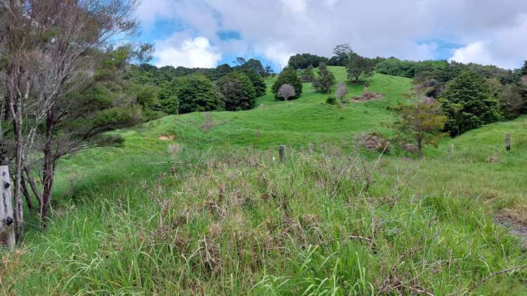 Lot/2 Wearmouth Road Paparoa_24