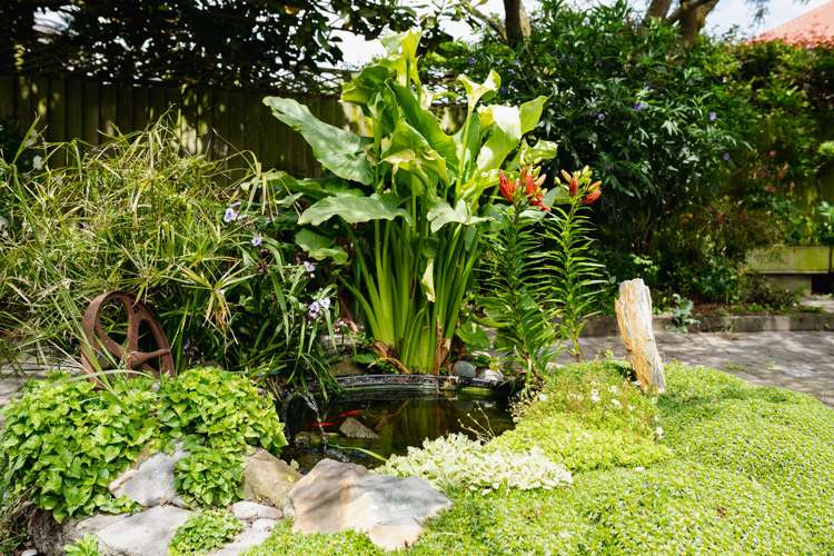 11 Tainui Road Musselburgh_22