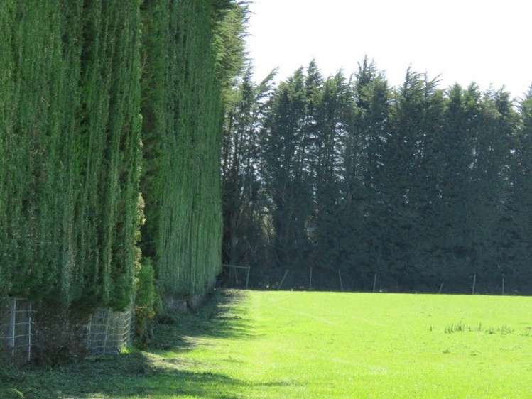 136 Kapuka North Road Wyndham Surrounds_16