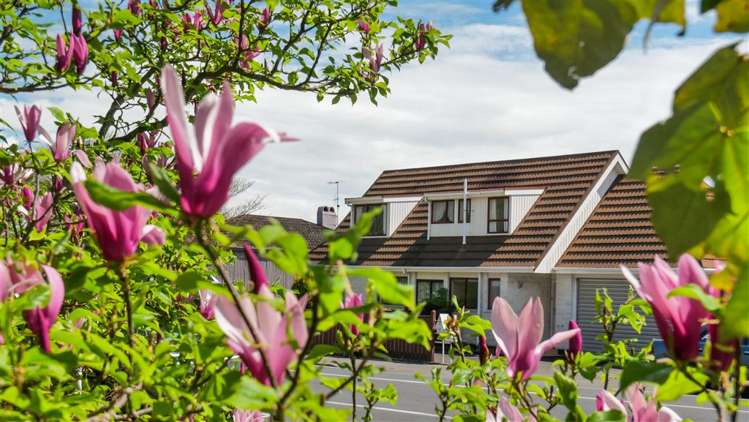 3/227 Bridge Street Nelson City_27