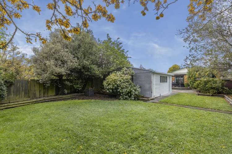 19 York Street Waltham_4