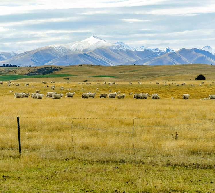 305 Bypass Road Ranfurly_6