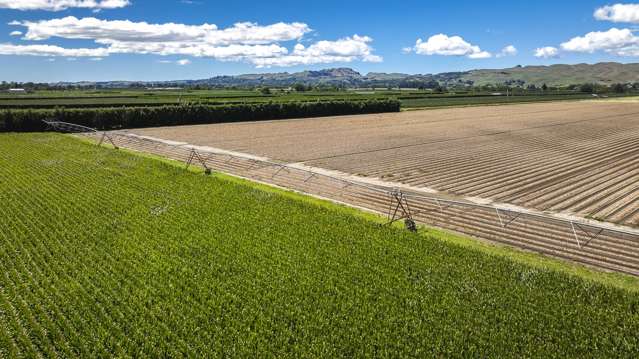 1355 Railway Road South and 656 Te Aute Road Longlands_2