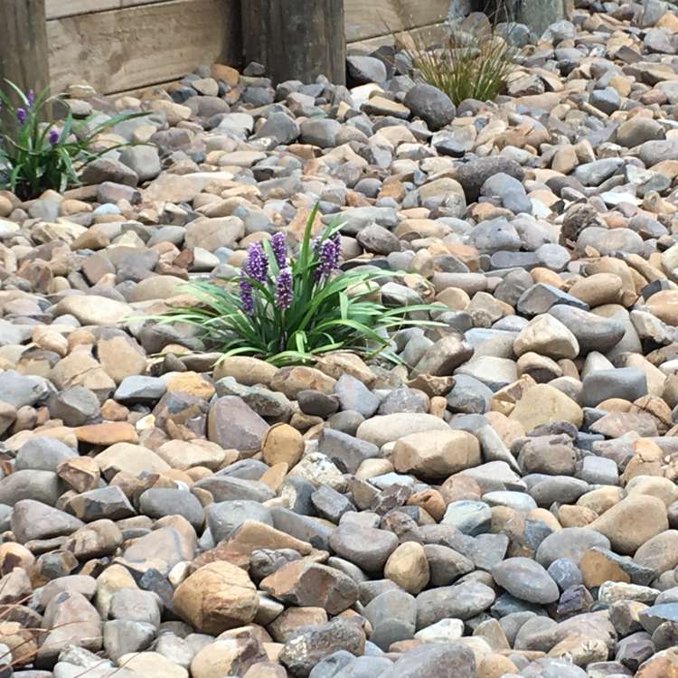 31b Helenvale Crescent Pokeno_16