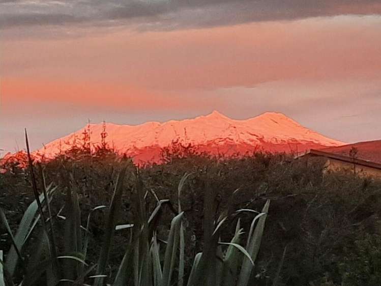 7B Kirk Street National Park_22