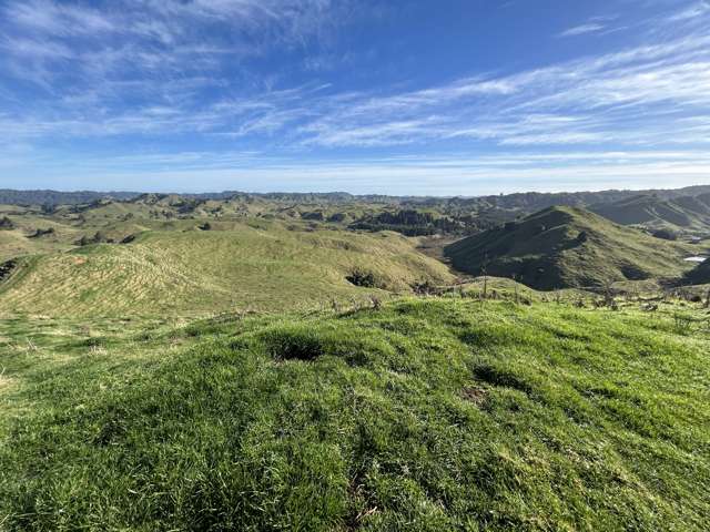 Mangapapa Heights Drystock