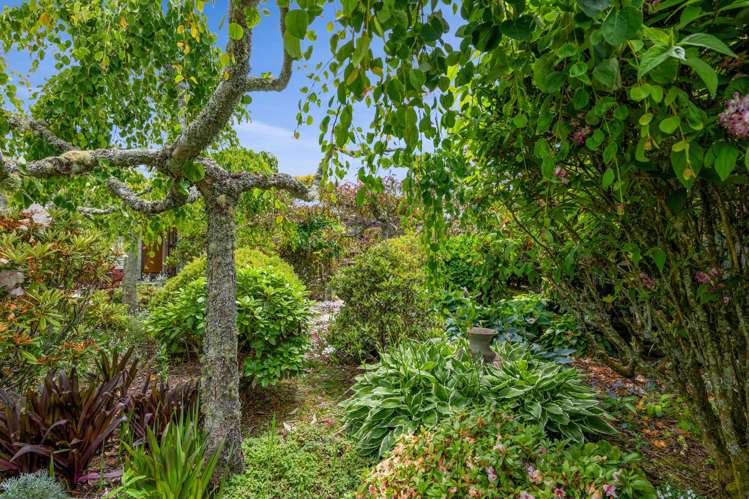 37 Cassandra Street Stratford_23