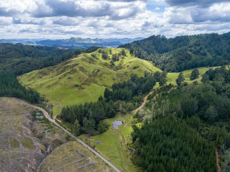 939 Kaiwhata Road Te Wharau_9