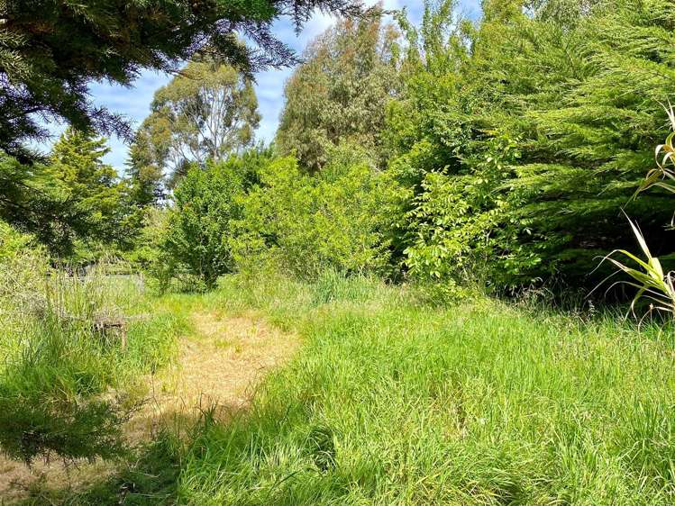 693 Domett Road Domett_5