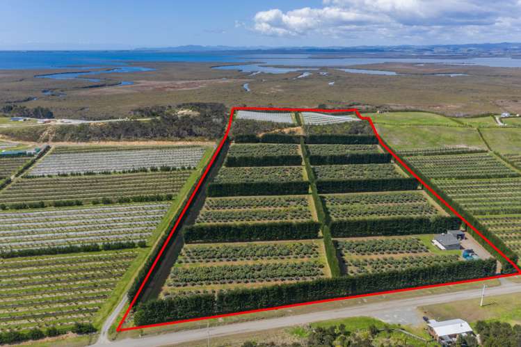 168 Heath Road Awanui_1