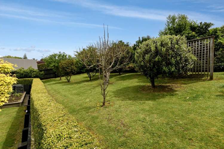 16 Raukawa Drive Bethlehem_22